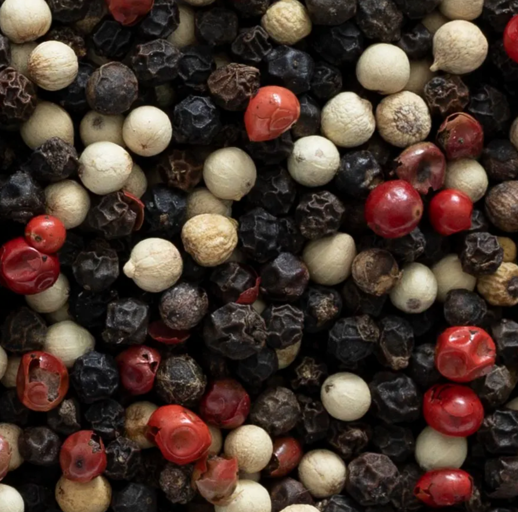 Modern General® Organic Peppercorn Blend