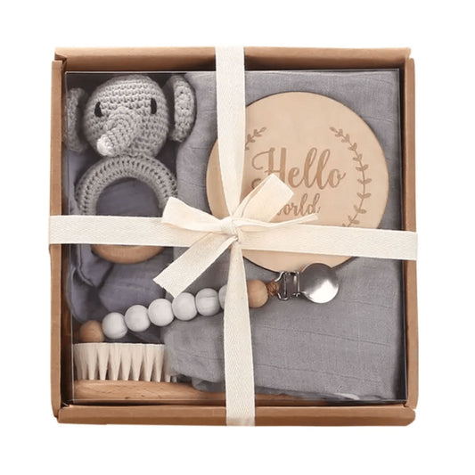 Welcome Baby Gift Set in Grey