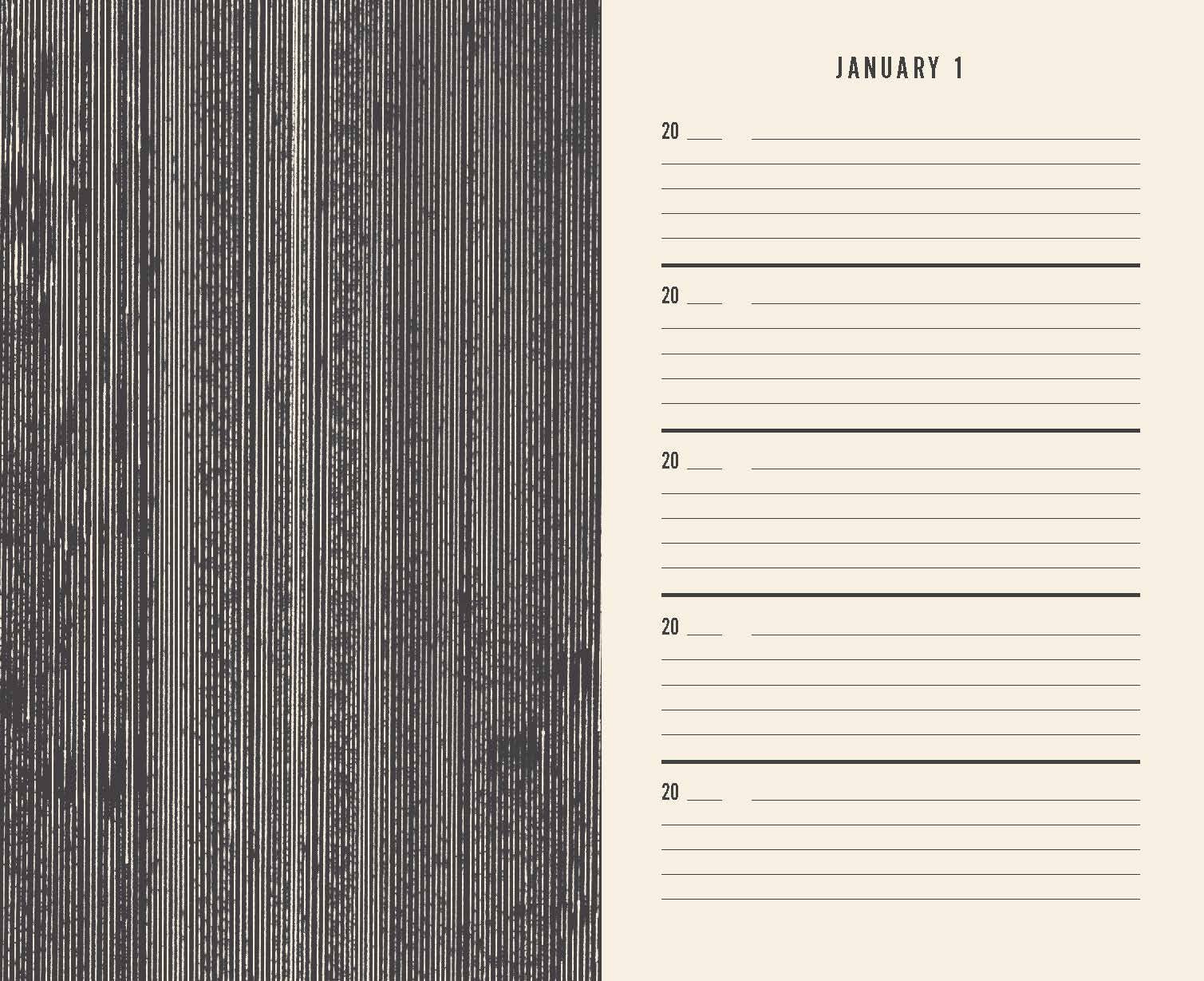 One Line a Day Journal