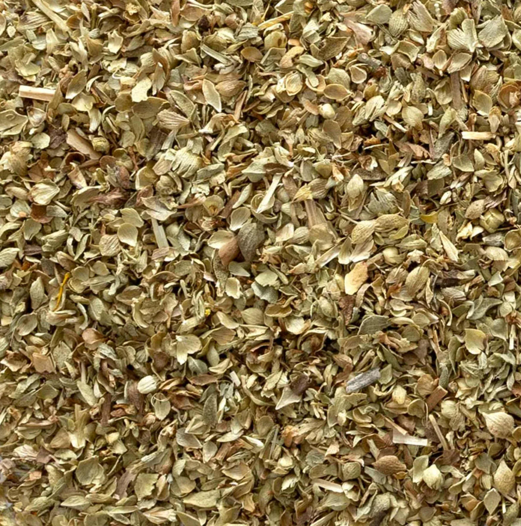 Modern General® Organic Oregano