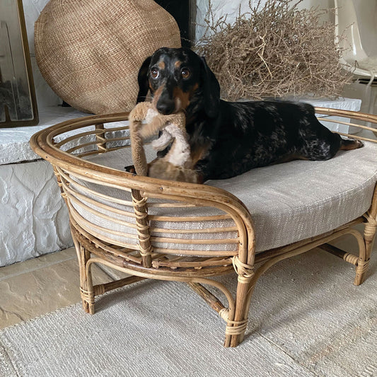 Rattan Dog Bed with Cotton Cushion